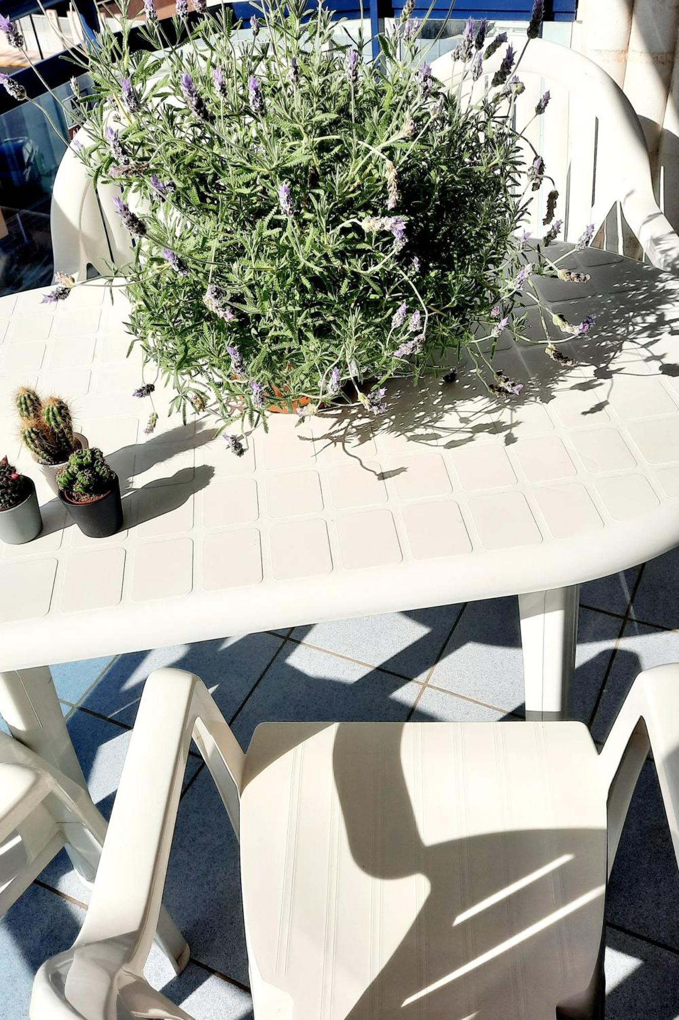 Sunny Apartment ダイムス 部屋 写真